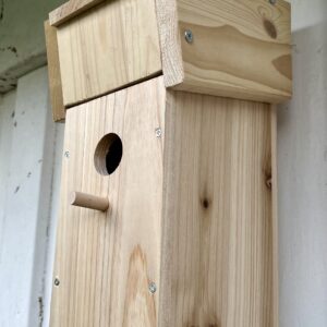 Vogelhaus mit Kamera – mein eigenes Überwachungsprojekt